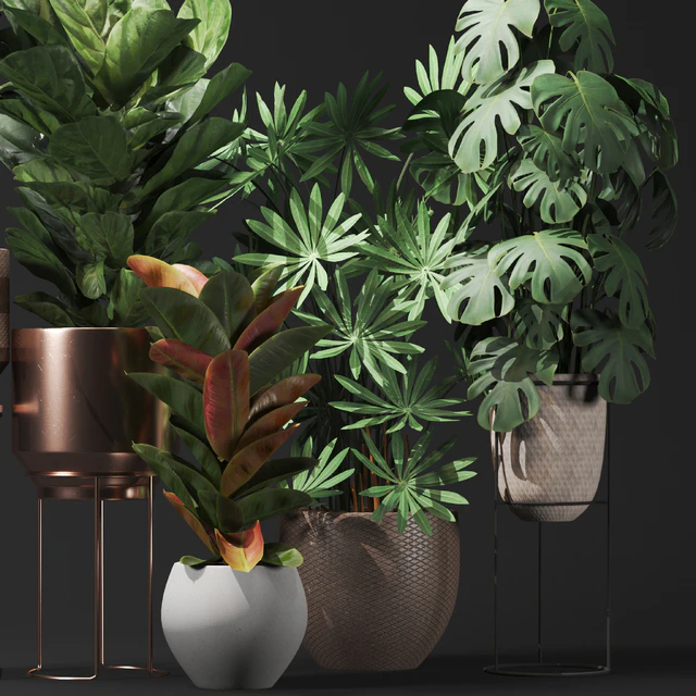 Plant collection02 — Descargar