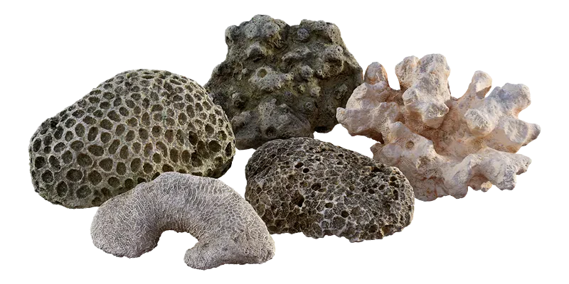 thai beach corals pack 001 — Descargar