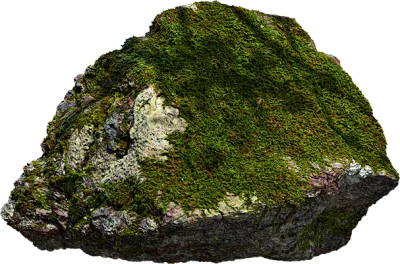 mossy rock 036 — Descargar