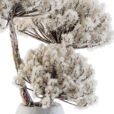 Dry Decorative Plant — Вид 4