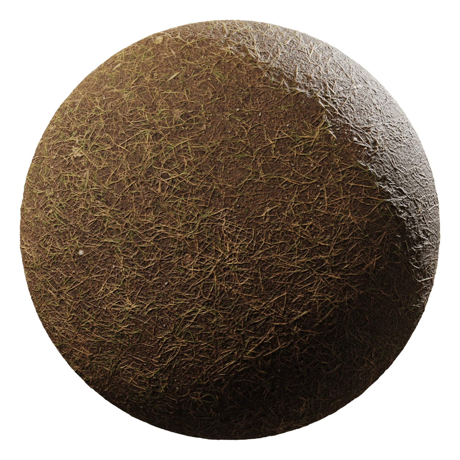 grass brown 004 — Descargar