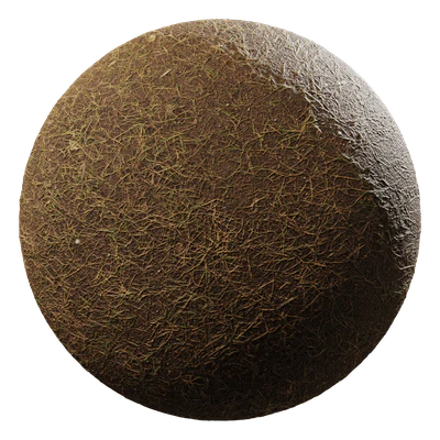 grass brown 004 — Descargar