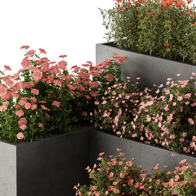 Flower Box - Outdoor Plants 436 — Вид 4