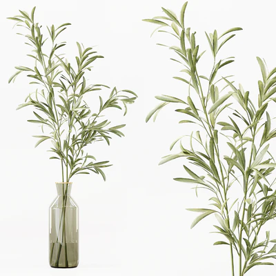 Collection Indoor Plants 016 — Ver 6