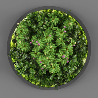 Vertical garden 113 — Ver 1