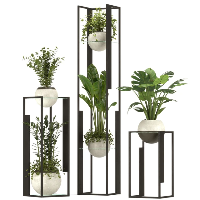 Collection Indoor Plants Nim12 — Скачать