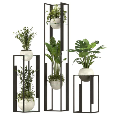 Collection Indoor Plants Nim12 — Вид 1