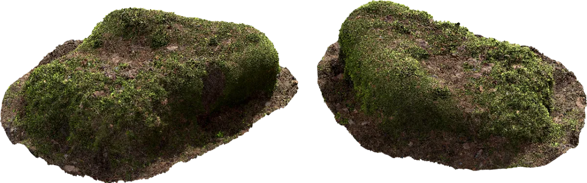 mossy mound 002 — Скачать