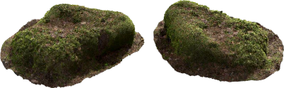 mossy mound 002 — Скачать
