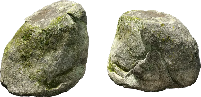 mossy forest boulder 009 — Скачать