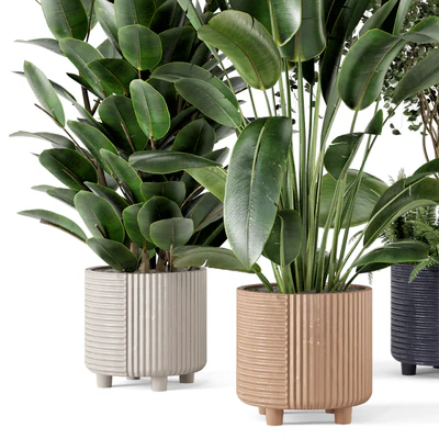 Indoor Planters in Cecilia Ficonstone Pot - Set 350 — Вид 5