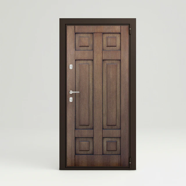 Paneled door entrance — Descargar