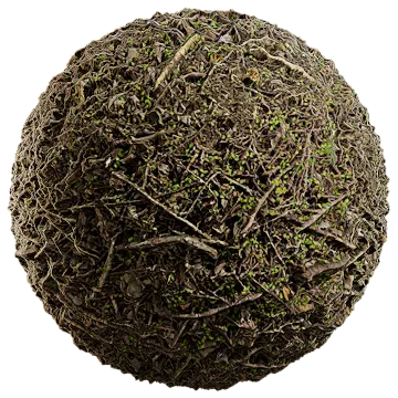 twigs and leaves 001 — Descargar