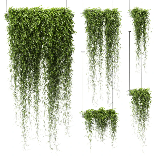 Plants in hanging pots v4. 5 models — Descargar