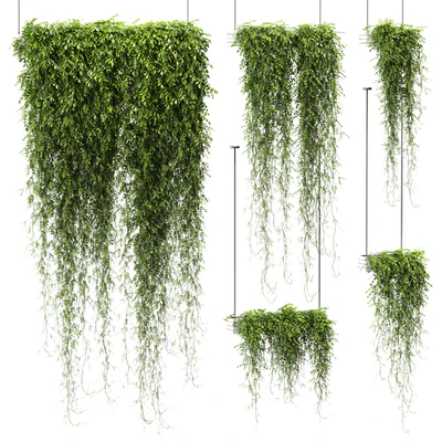 Plants in hanging pots v4. 5 models — Ver 1