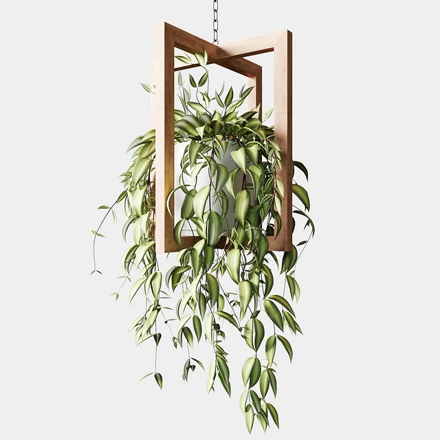Ampelous plants in wooden figured hanging pots — Descargar