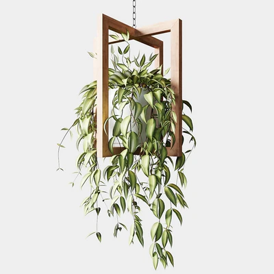 Ampelous plants in wooden figured hanging pots — Ver 5