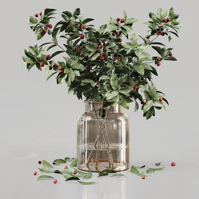 Bouquet Indoor Plants 01 — Ver 2