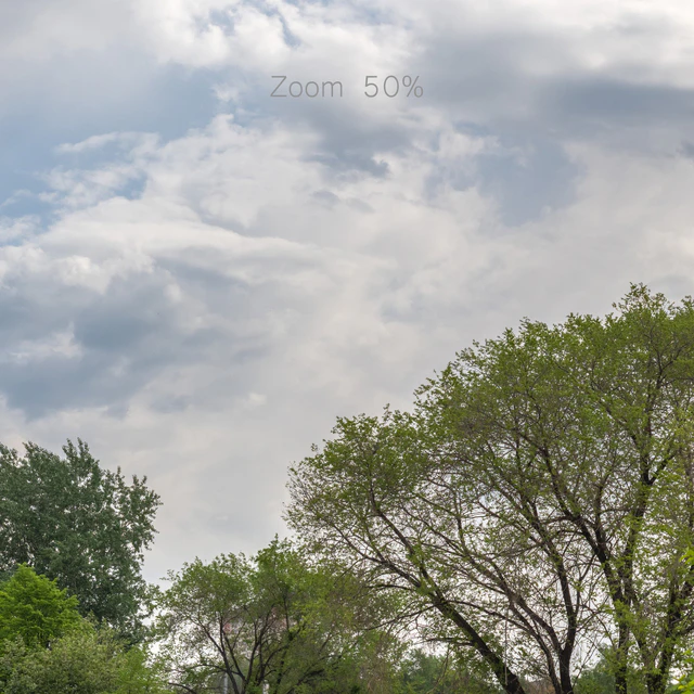 Panoramas of Novosibirsk. Left bank and park — Descargar
