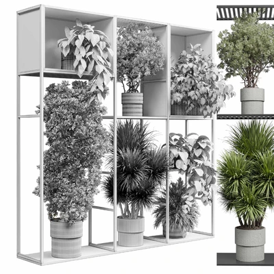 Standing metal shelf with a set of plants in wooden and metal boxes 419 — Вид 7