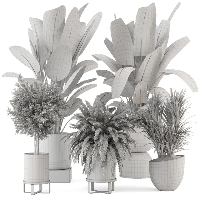 Indoor Plants in rusty Concrete Pot - Set 1167 — Descargar