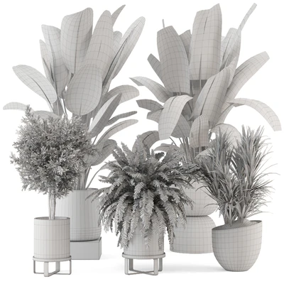 Indoor Plants in rusty Concrete Pot - Set 1167 — Ver 6