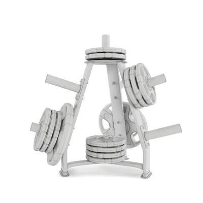 Gym Rack Disc Vid 01 — Ver 4