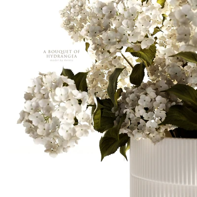 A bouquet of hydrangea 2 — Ver 4