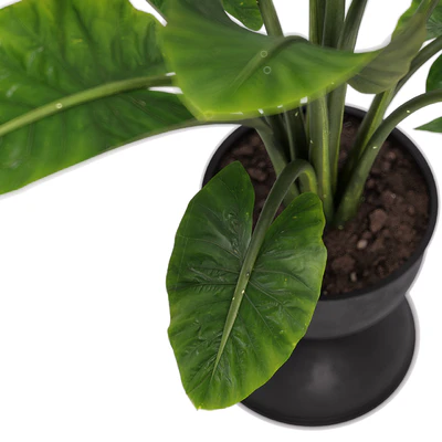 indoor plant set 36 — Ver 7