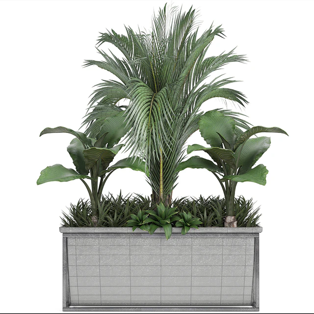 Plant collection 245. Interior palm tree, bushes, thickets, pot, alocasia — Descargar