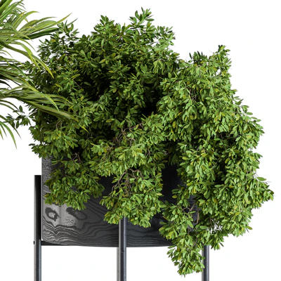 Black round plant box 03 — Вид 5