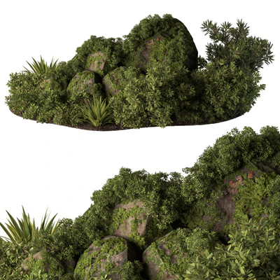 Garden Plants - Outdoor Plants 648 — download