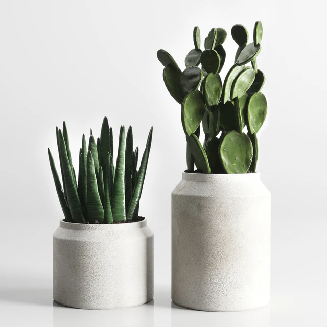 collection Indoor plant 33-concrate vase — Descargar