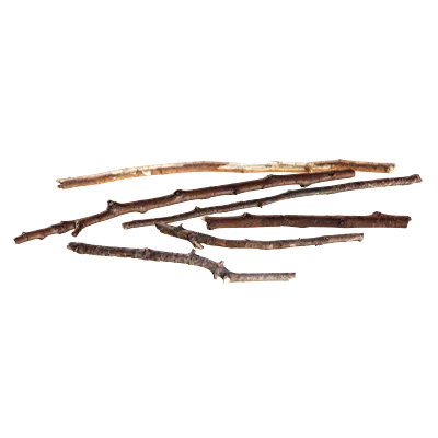 tree debris pack 001 — Скачать