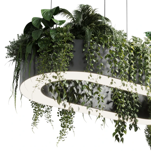 pot light - pendant plant light hanging 06 corona — Descargar