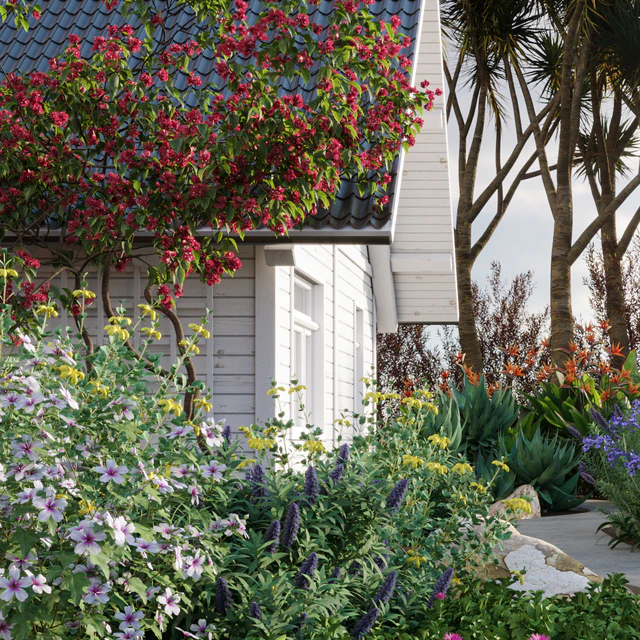 Echium candicans | Pride of madeira — Descargar