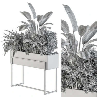 indoor Plant Set 321 - Plant Set in Black Box — Ver 3