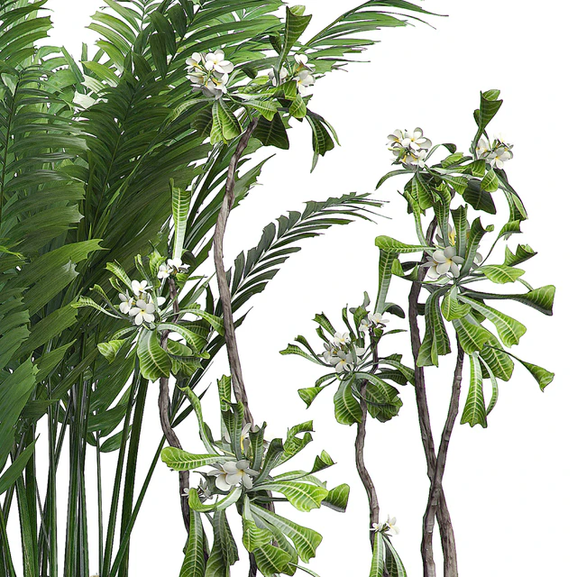 INTERIOR FLOWER PACK 14 - Zonning v. 2 — Descargar