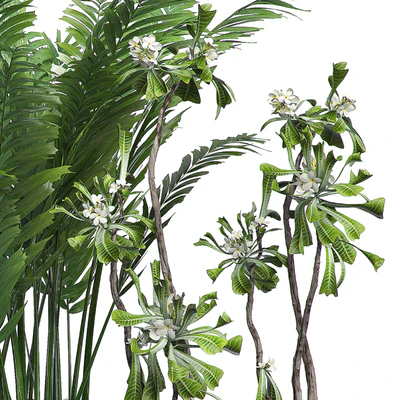 INTERIOR FLOWER PACK 14 - Zonning v. 2 — Ver 2