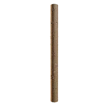 alder branch bark 002 — Descargar