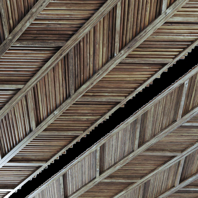 Ceiling diagonal branch straight n2 — Descargar