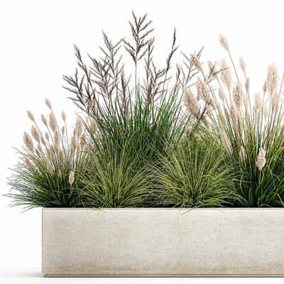 Collection of plants in a pot with pampas grass, reeds, flowerbed, bushes, landscaping. Set 1076. — Ver 5