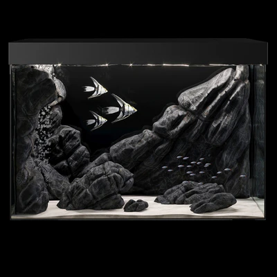 Aquarium — Ver 4