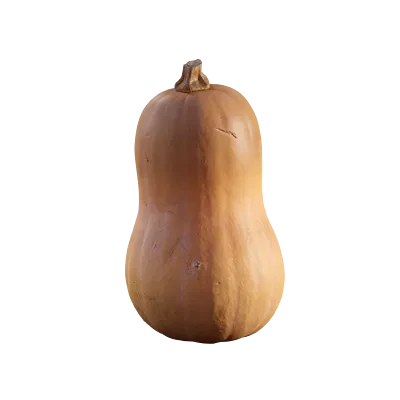 butternut squash 001 — Скачать