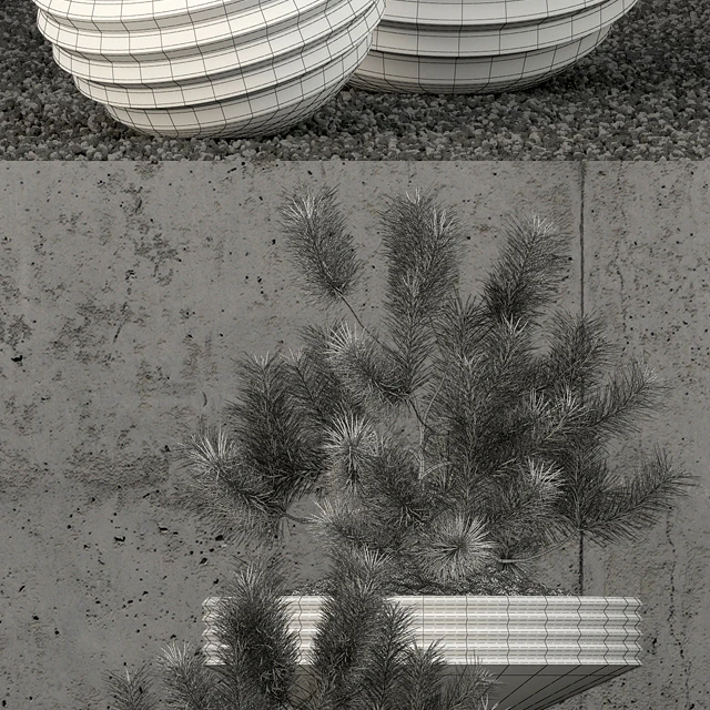 Plants collection 58 — Descargar