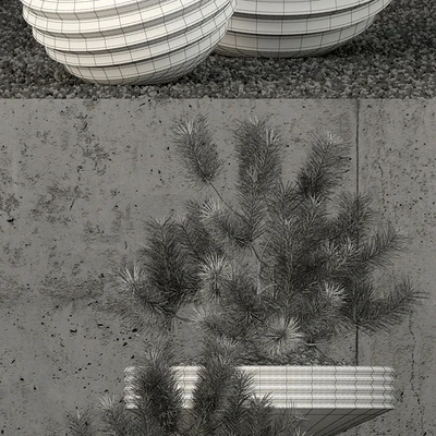 Plants collection 58 — Ver 3