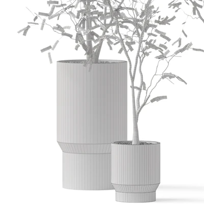 Plants collection 900 — Вид 4