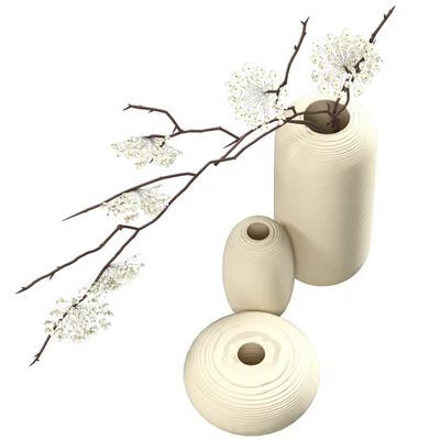 Bouquet of flowering branches in ceramic vases — Ver 2