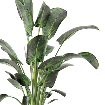 Indoor Plants  in rusty Concrete Pot - Set 582 — Вид 7