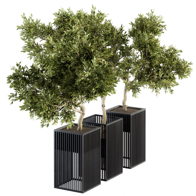 Outdoor Plants tree in Metal Pot - Set 134 — Descargar